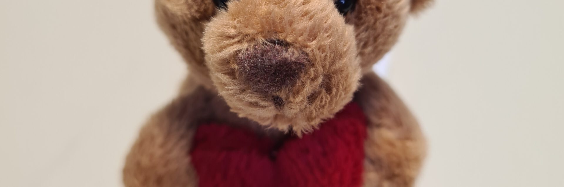 Gemeinsam helfen: Weihnachtsaktion für das Kinderhospiz Bärenherz